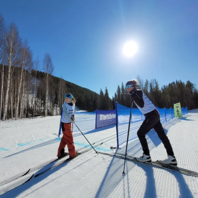 PUDER

Nattens snöfall var efterlängtat! 
Vi har låtit det mesta vara orört och hoppas att ni vill komma och ta några svängar i våra pudriga nedfarter 🎿 

Solen tittar fram och kl 13.00 kör vi en längdtävling på korta spåret i dalen! 
Tävlingsgrupper:
2-6 år
6-8 år
8-10 år
10-12 år
Anmälan på plats- priser till alla!

Det korta spåret är kört på morgonen.

Vi ses på berget!